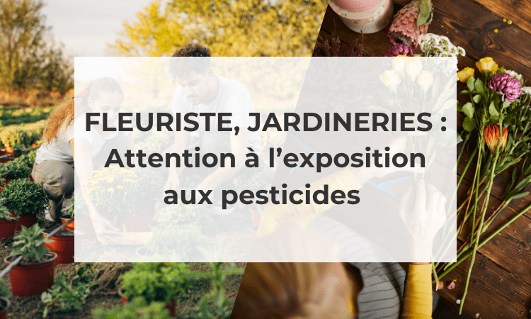 FLEURISTES, JARDINERIES : ATTENTION A L’EXPOSITION AUX PESTICIDES